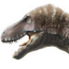 dinosauriones